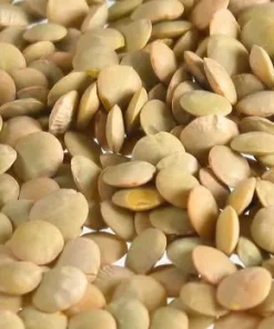 Linsen, blond, mittel, Tellerlinsen, Frankreich, 5 kg