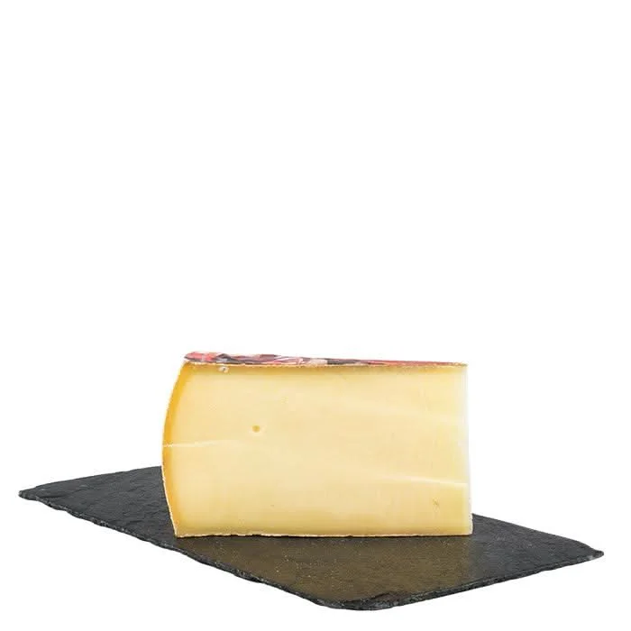 Wilder Engel – Bild 2