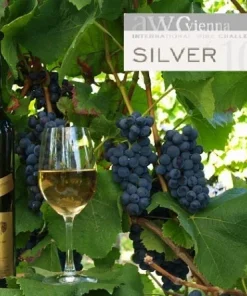 EISWEIN Spätburgunder HEILIGE NACHT Blanc de Noir