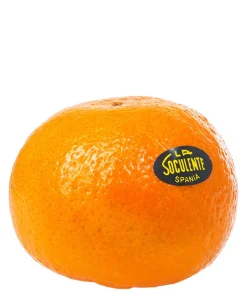 Soculente Clementine