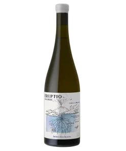 2021 Arinto dos Acores, Insel Pico, Portugal