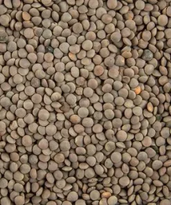 Linsen, braun, klein, 1 kg