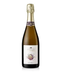Champagner Regis Poissinet, Terre d´Irizée, extra brut, 12 % vol., 750 ml