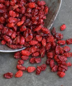 Berberitzen Iran bio