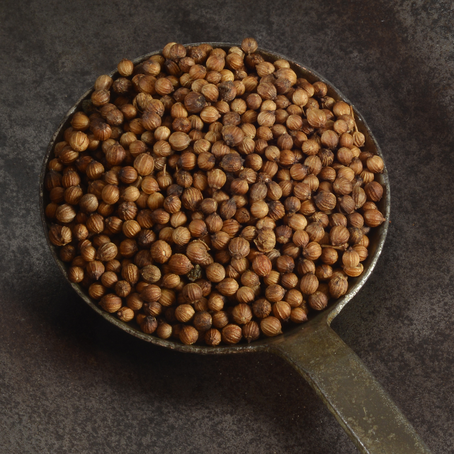 Koriandersamen ganz bio 40g – Bild 2