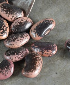 Beetle beans, Austria 300g