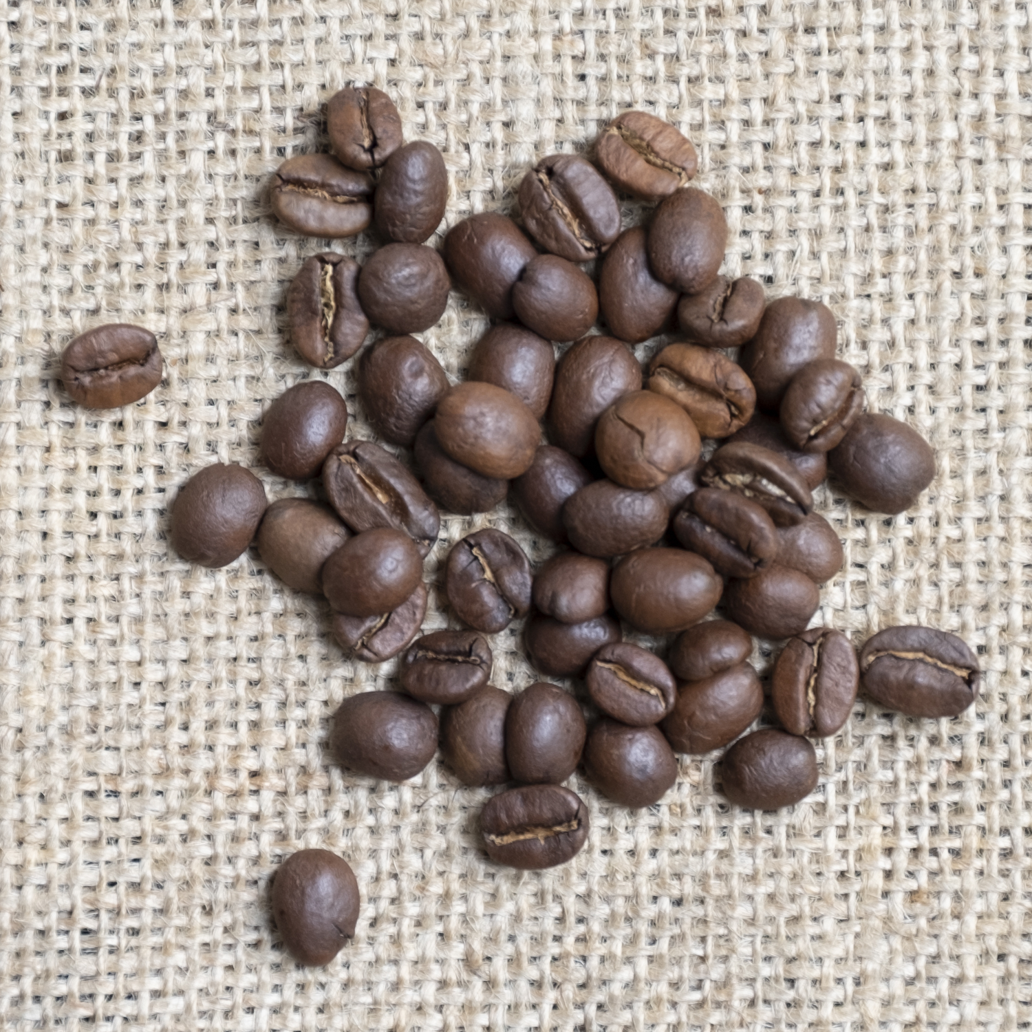 Coffee blend “Wiener” – Bild 2