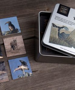 Memo aus Holz – Äthiopien – Tiere