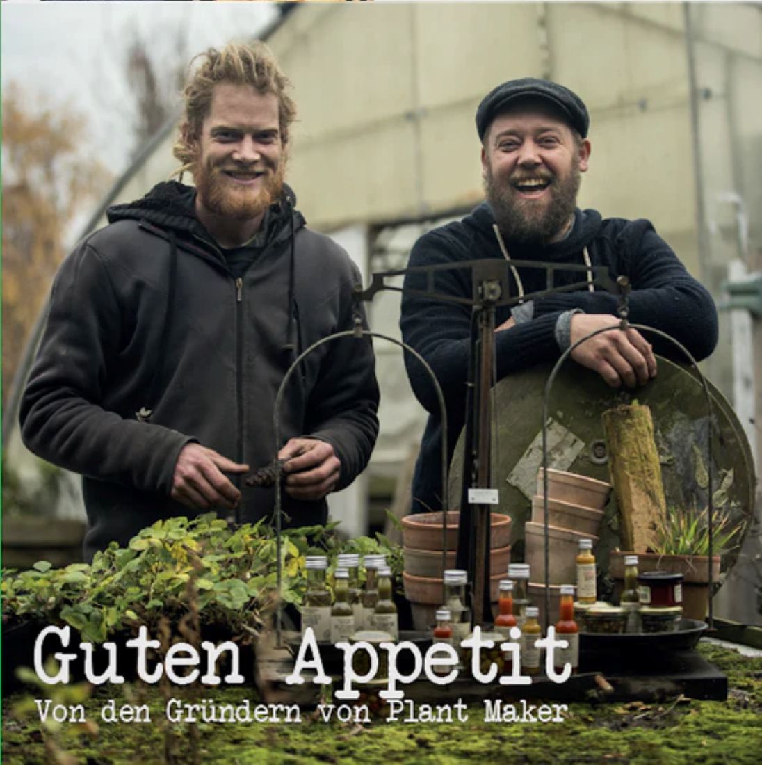 Flüssige Kräuter – Ingwer (Bio) – Bild 4