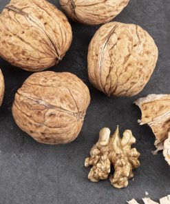 Baumnüsse Schweiz “Lara”