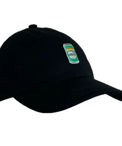 Pale Ale Can Dad Hat