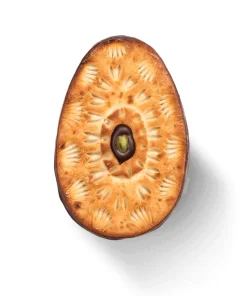 Sawade | Prächtiges Pasteten Ei