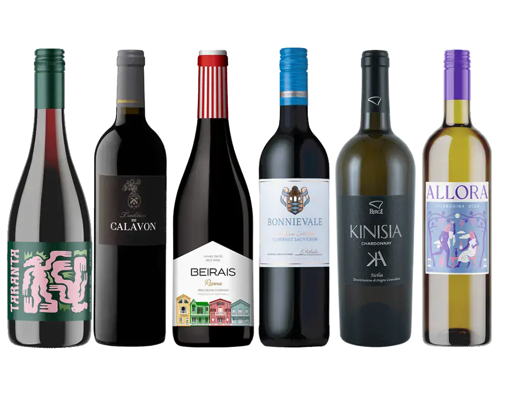 A Vino Voyage – Bild 2