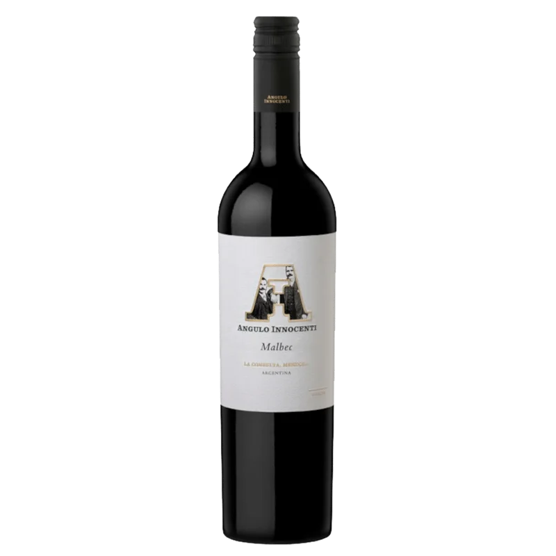 Angulo Innocenti Malbec 2016 – Rotwein – Bild 2