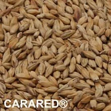 CARARED® Malz ungeschrotet