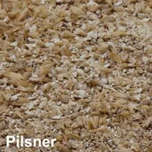 Pilsner Malz geschrotet