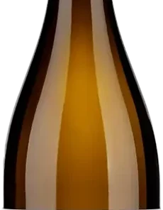 2024 Grauburgunder trocken