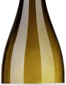 2024 Merlot Blanc de Noir trocken
